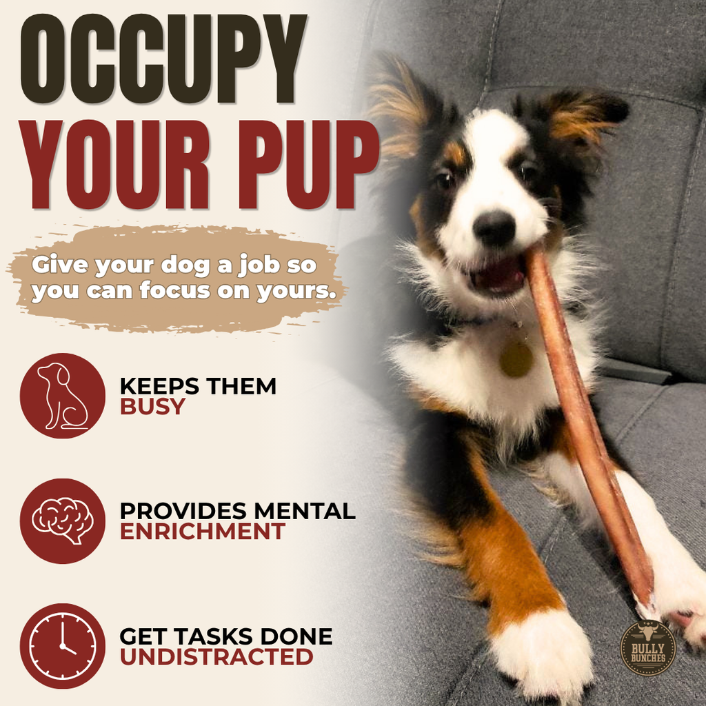 12-Inch Standard Bully Stick