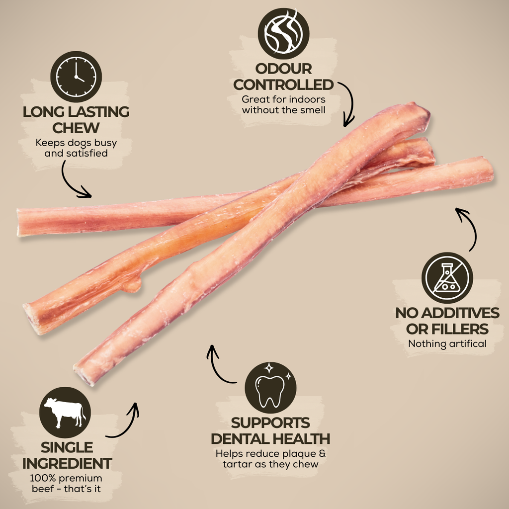 12-Inch Standard Bully Stick
