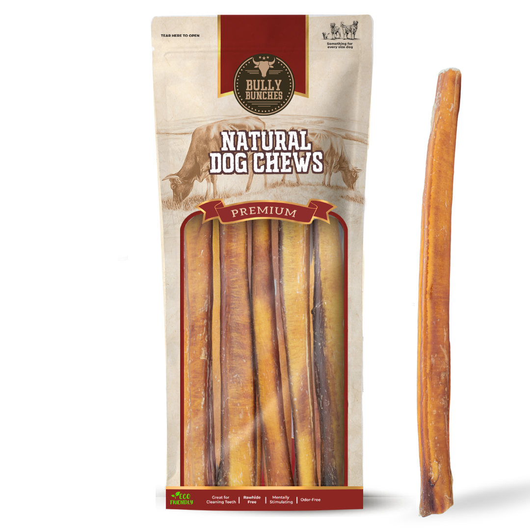 Shop dog products
