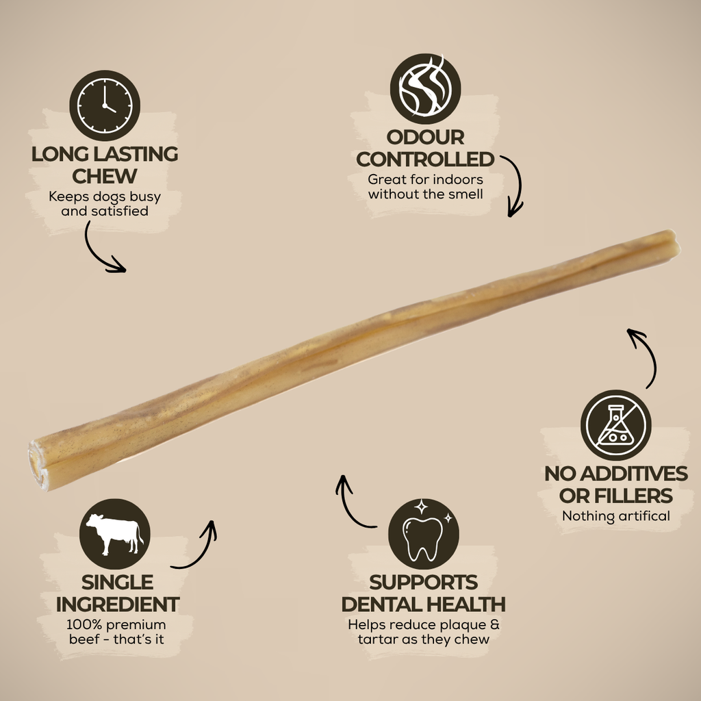 10–12 Inch Collagen Stick