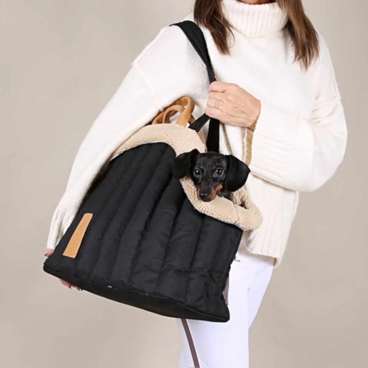 Bailey Luxury Pet Carrier