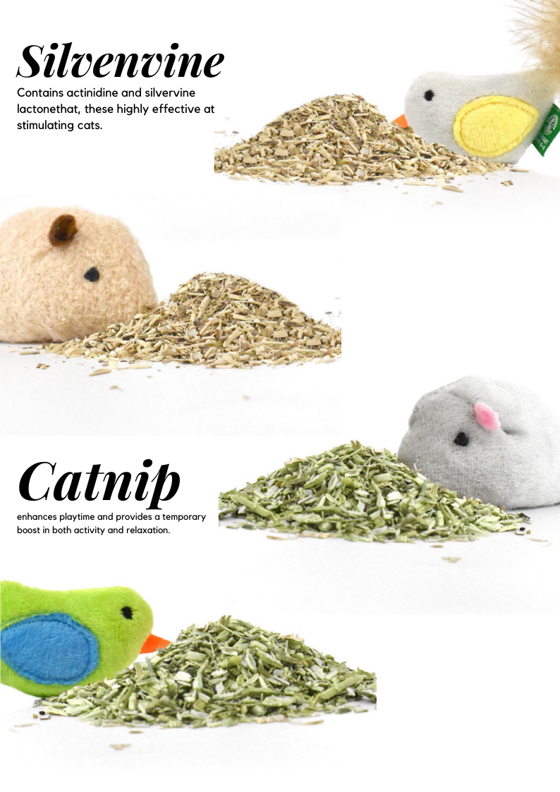 Catnip/Silvervine Small Pet Toys