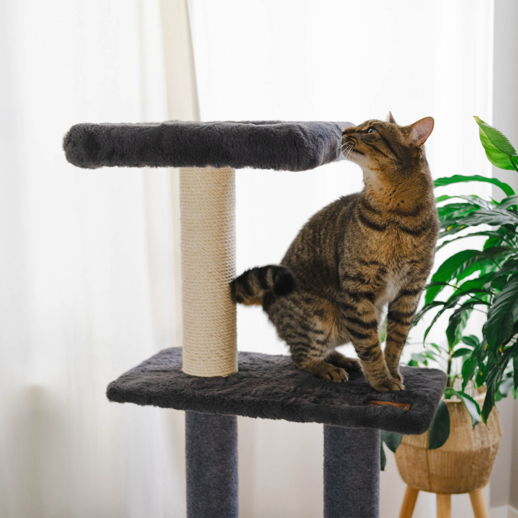 Hut Hideout - Deluxe 3-Level Cat Tree