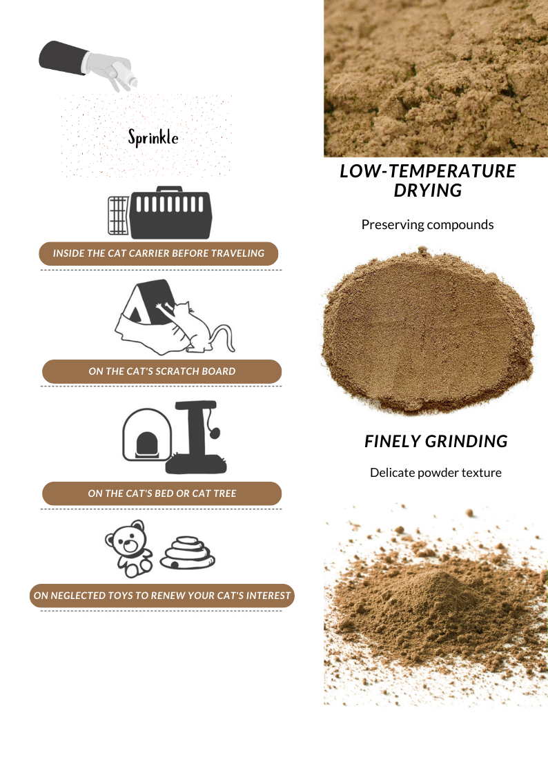 Silvervine Gall Fruit Powder