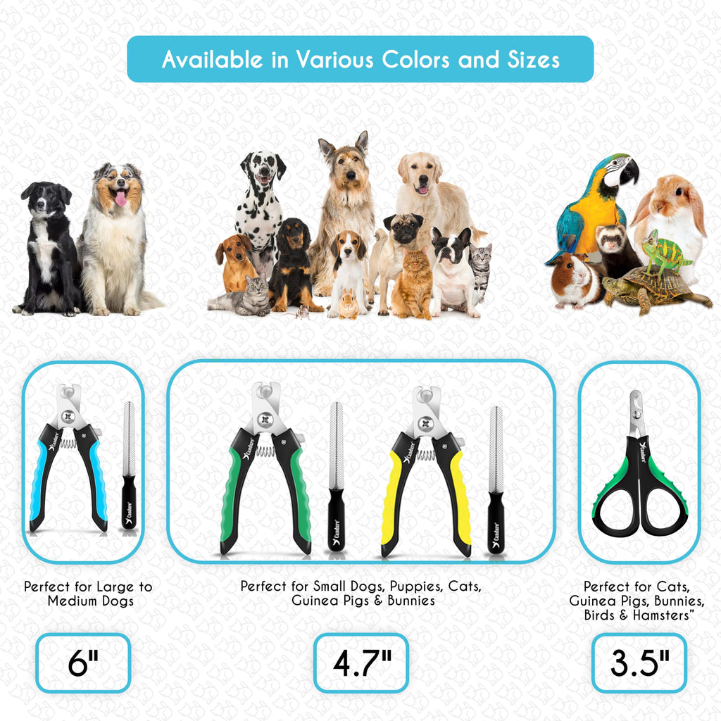 Candure Cat Nail Clippers for Indoor Cats, Rabbits, Hamsters, and Birds with Precise Angled Edges to Ensure Easy & Safe Trimming Stainless Steel Cat & Dog Nail Trimmer for At-Home Cat Grooming 🍁 All In One Marketplace Canada