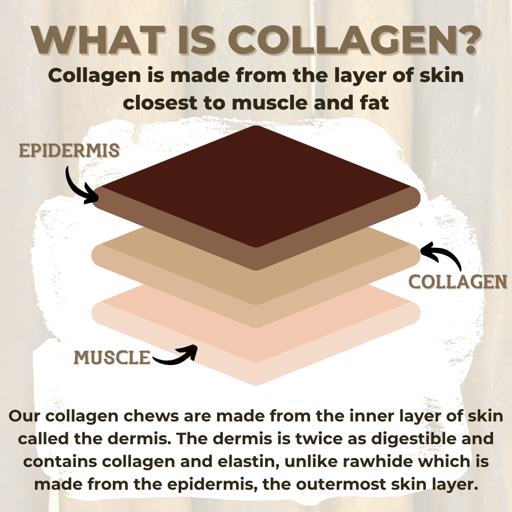 10–12 Inch Collagen Stick