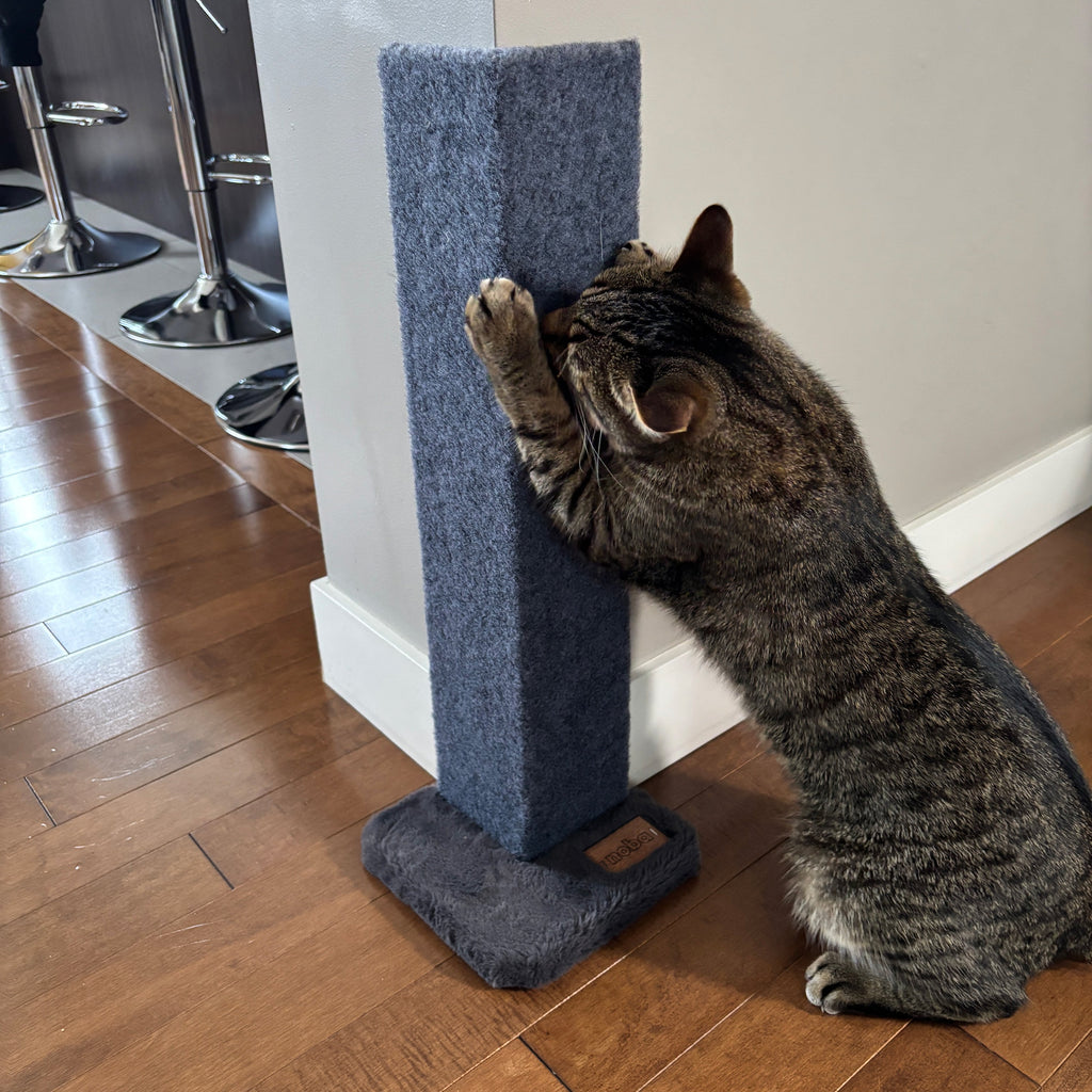 23-Inch Corner Cat Scratcher & Furniture Protector