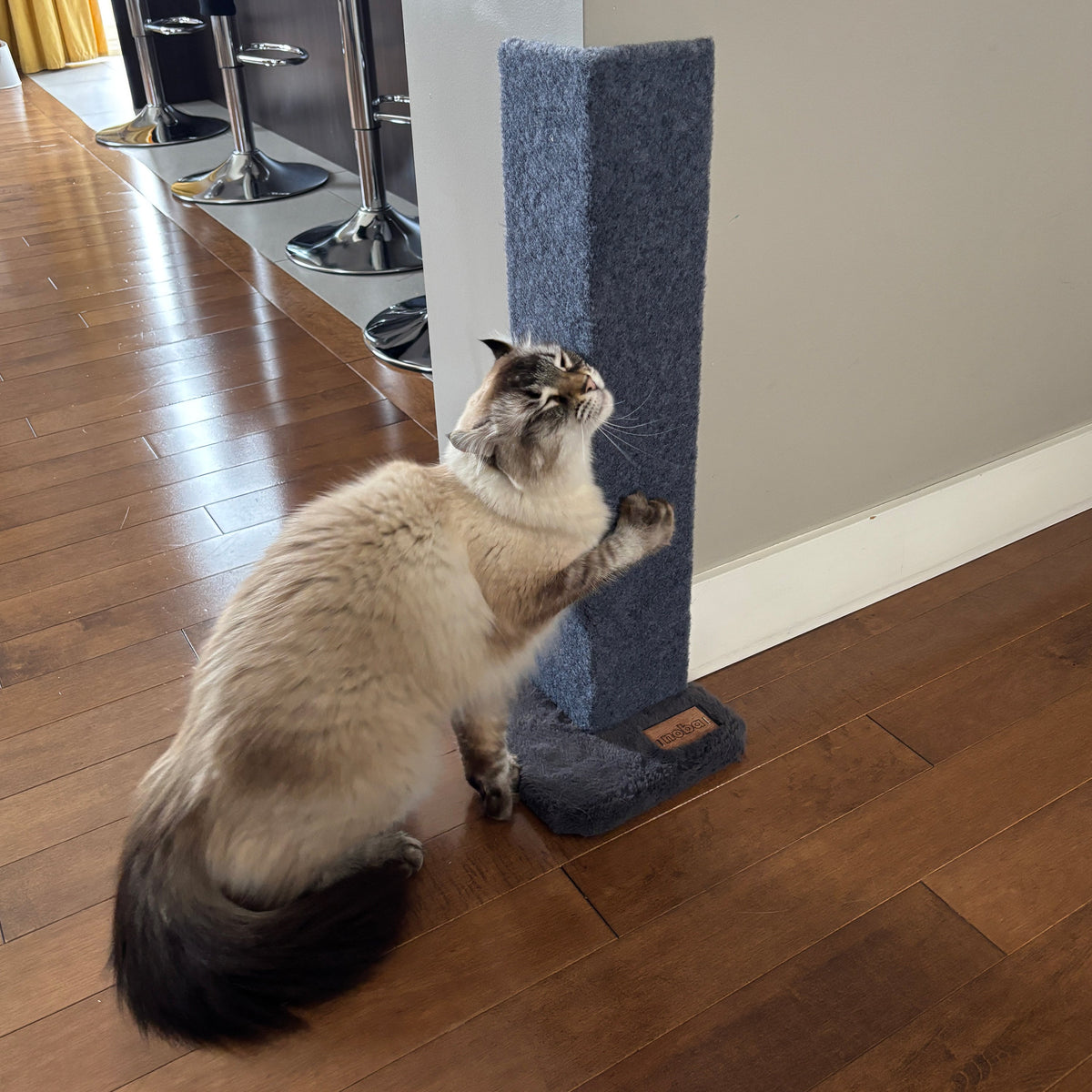23-Inch Corner Cat Scratcher & Furniture Protector