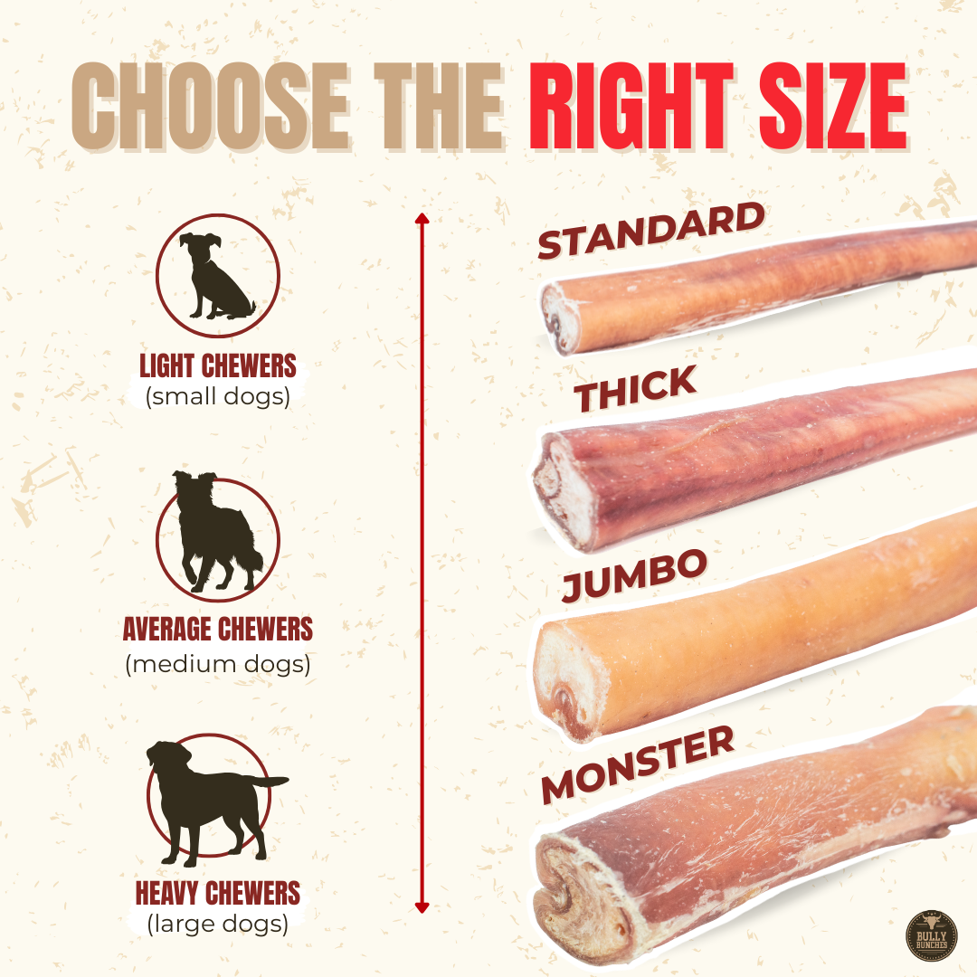 12-Inch Standard Bully Stick