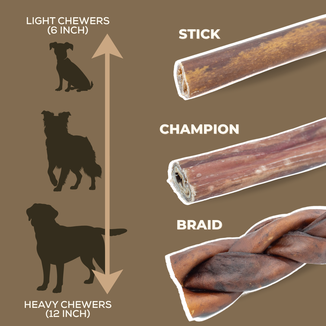 10–12 Inch Collagen Stick