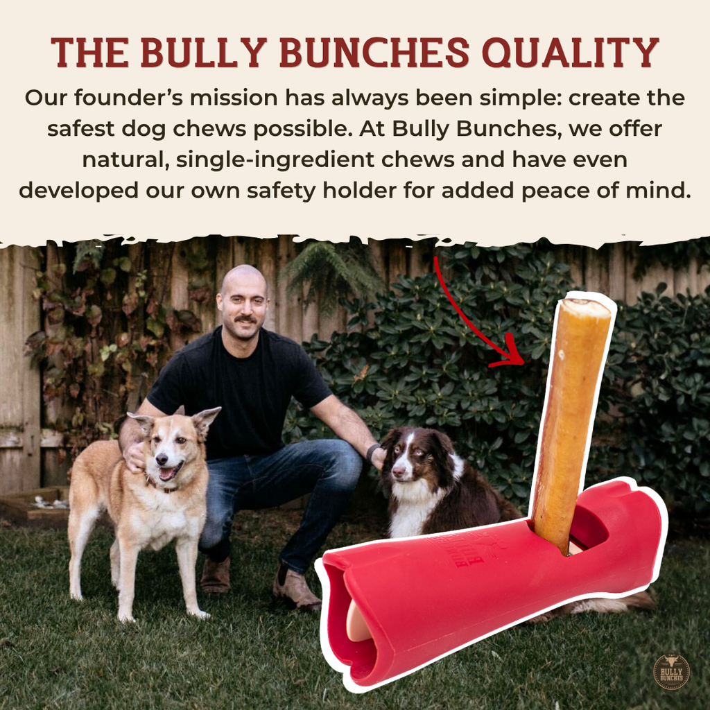 12-Inch Standard Bully Stick