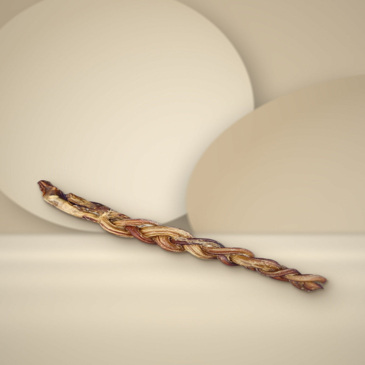 Braided lamb pizzle stick
